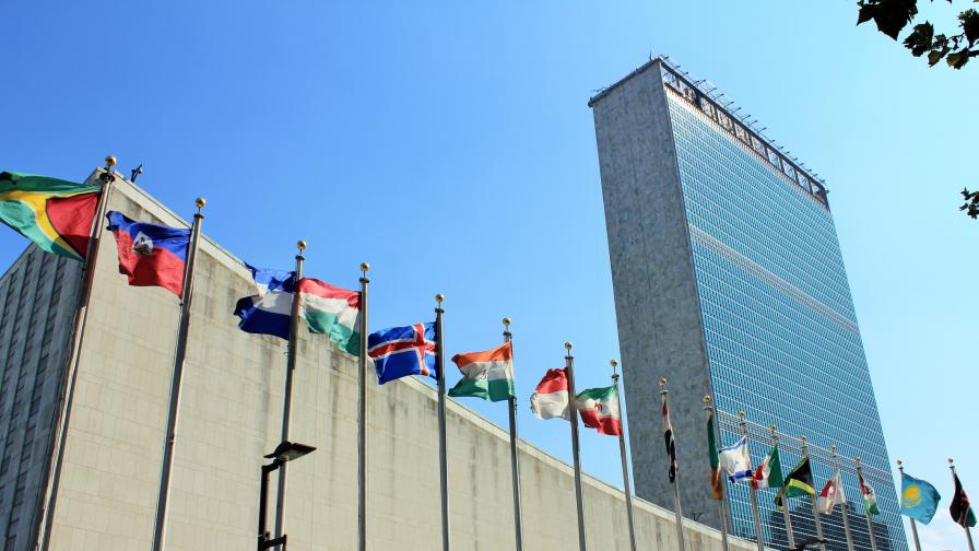 <p>ООН критикува закона срещу ЛГБТ пропагандата в училищата</p>