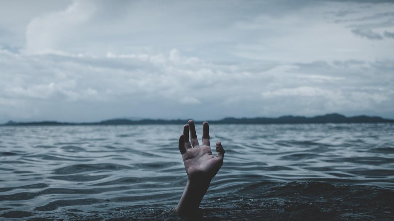 Снимка: pixabay